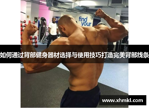 如何通过背部健身器材选择与使用技巧打造完美背部线条