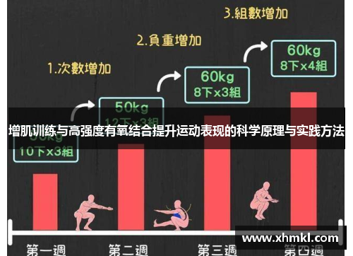 增肌训练与高强度有氧结合提升运动表现的科学原理与实践方法
