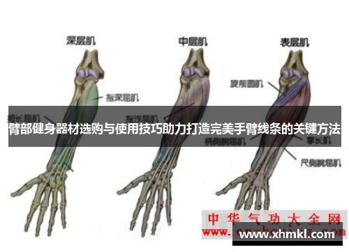 臂部健身器材选购与使用技巧助力打造完美手臂线条的关键方法