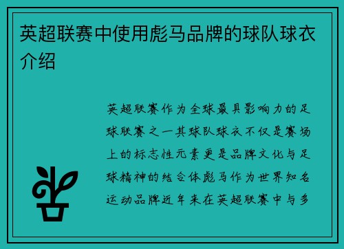 英超联赛中使用彪马品牌的球队球衣介绍